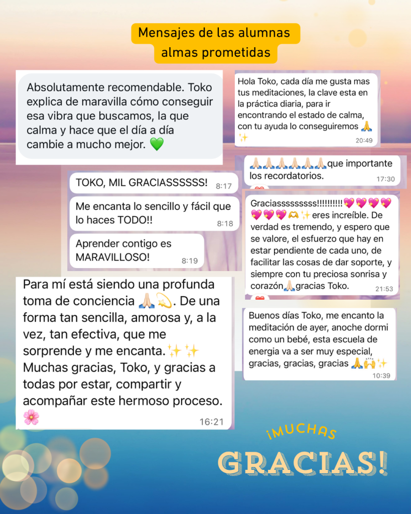 Carucel escuela energia 6